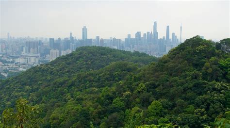 Le Mont Baiyun : Une Vue Panoramique sur la Ville de Wenzhou !